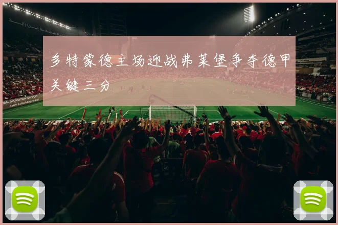 多特蒙德主场迎战弗莱堡争夺德甲关键三分